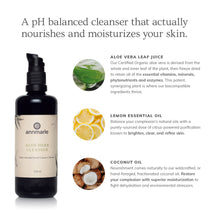 Load image into Gallery viewer, Aloe Herb Cleanser (100 mL) - Laird Wellness