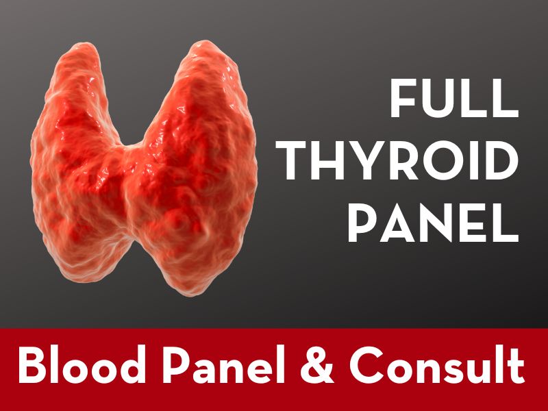 FULL THYROID PANEL Laird Wellness Full thyroid panel laird wellness